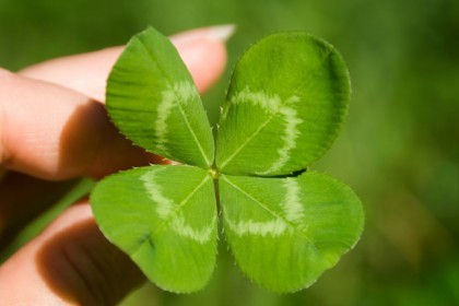 Народные приметы о погоде по растениям: как предсказать на основе наблюдений