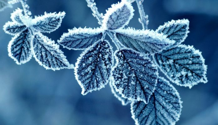 Skrinshot 07 06 2017 124754