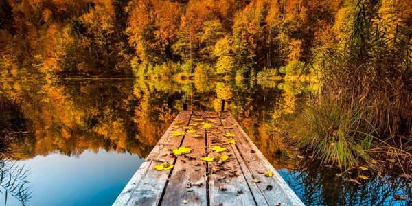 приметы про осень