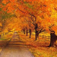 народные приметы на сентябрь