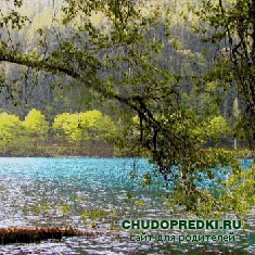 приметы о ветре