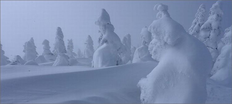 огромные-сугробы-зимой