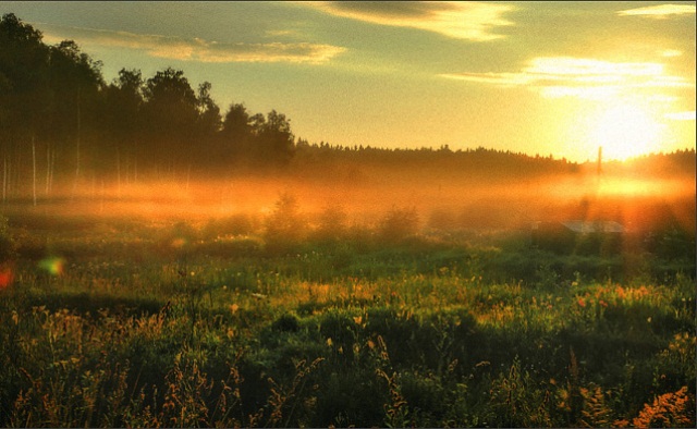 Рассветное солнце