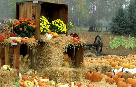 Народные приметы и традиции сентября