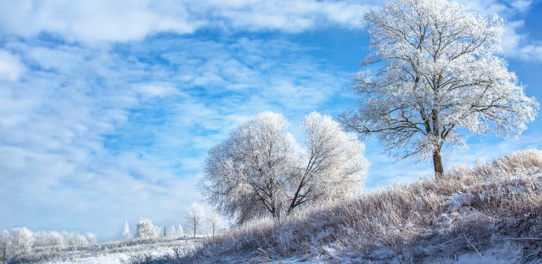 Народный календарь на январь — приметы на каждый день
