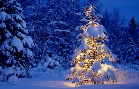 Погода и приметы января