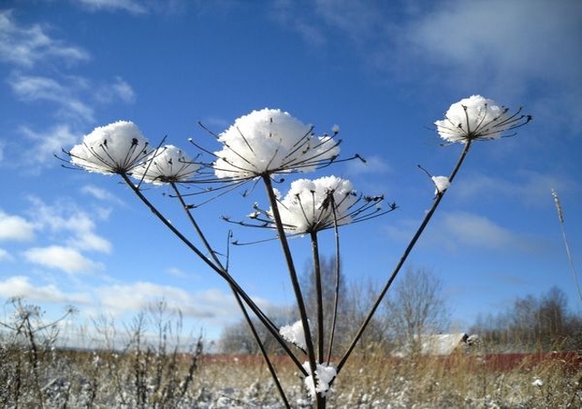 Народные приметы ноября