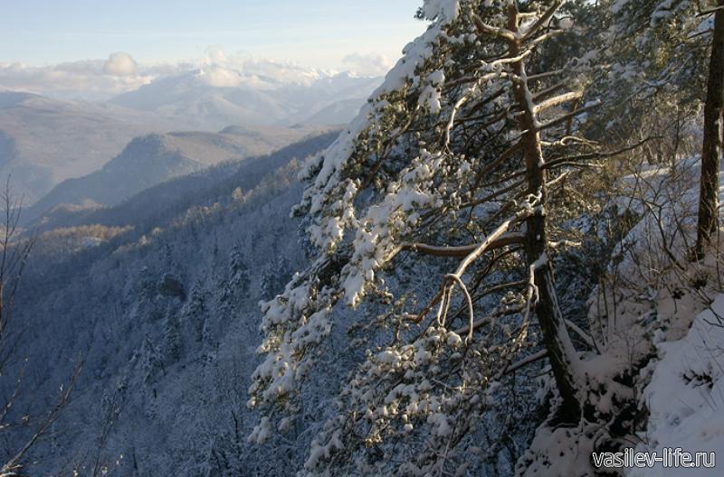 Панорамная точка &laquo;Сосновая поляна&raquo;