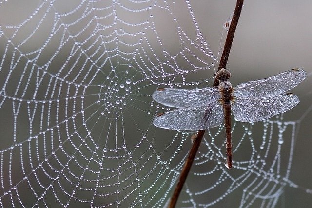 Атмосферные осадки, фото