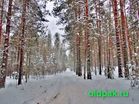 Народные приметы декабря о погоде