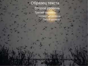  Вечером много комаров налетело — завтра будет дождь. 
