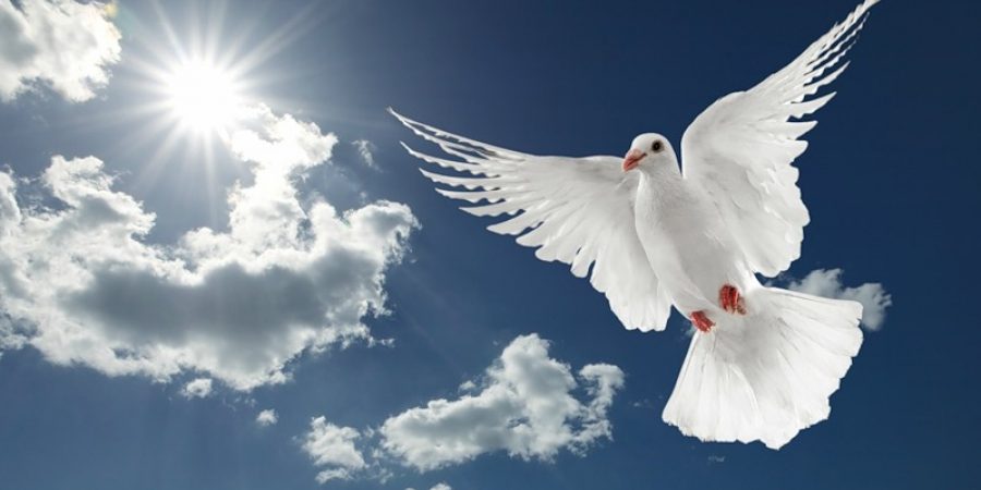 приметы на благовещение