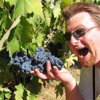 Приметы на удачу