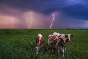 народные приметы по которым можно определить погоду