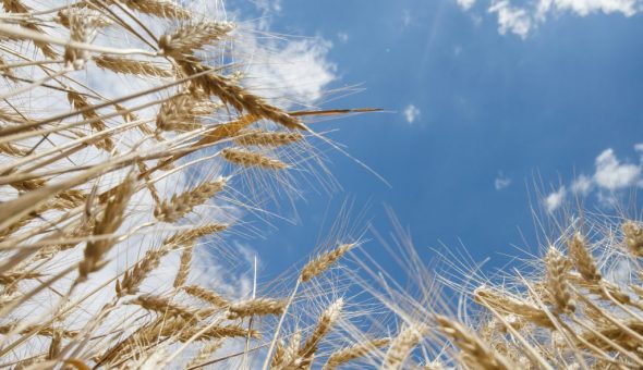 Погода в июле