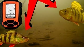 Плотность дна на эхолоте практик