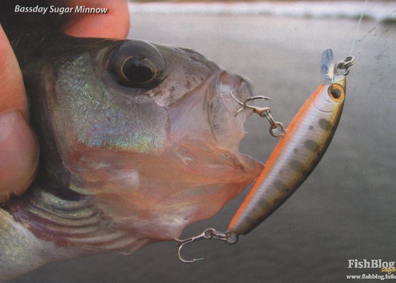 Bassday Sugar Minnow