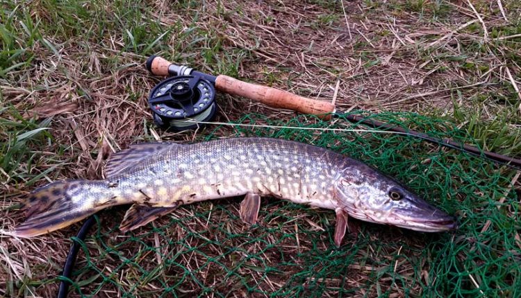 Силиконовая наживка фанатик в минске