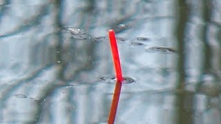 Секреты ловли весенней плотвы