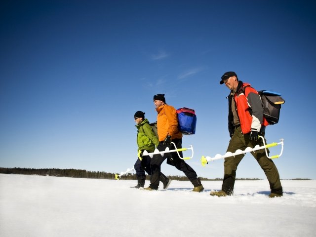 Прогноз клева в Воронежской области