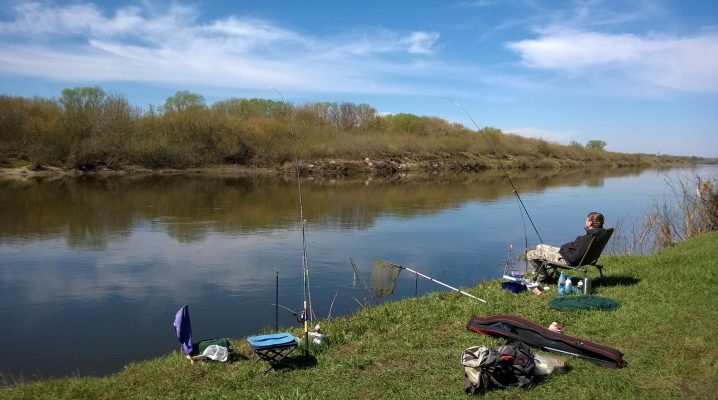 Прогноз клева в Воронежской области