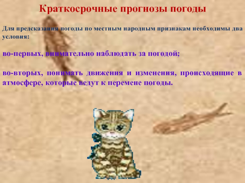 Краткосрочные прогнозы погодыДля предсказания погоды по местным народным признакам