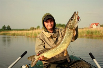 Удачный клев