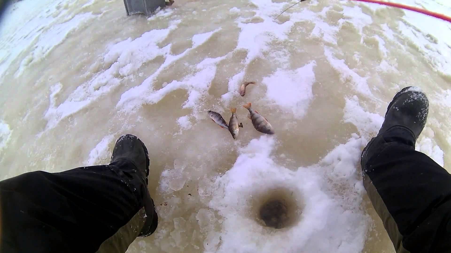 Рыбалка в кирове и кировской области