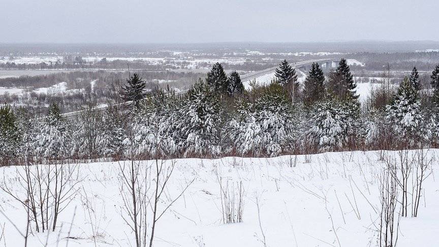 Рыбалка пруд в колково кировской области