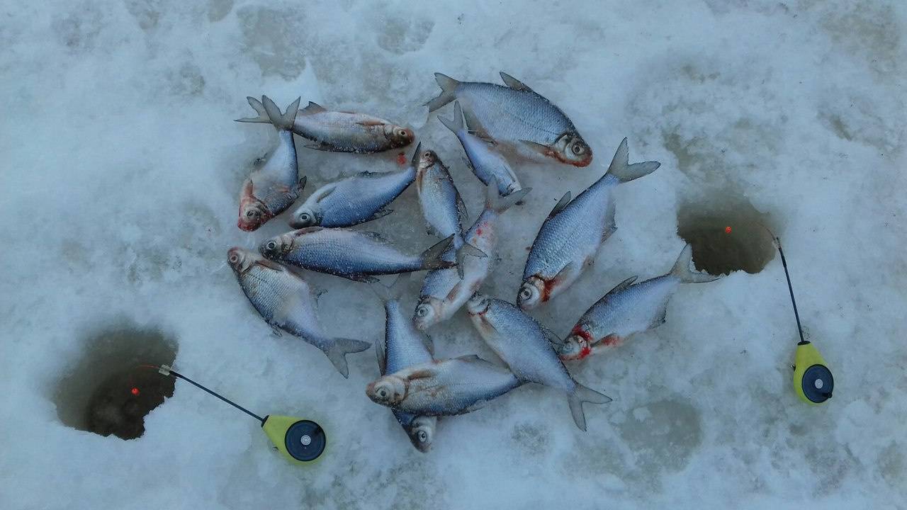 Рыбалка на реках кировской области и в кирове, обзор водоемов - рыбакmak