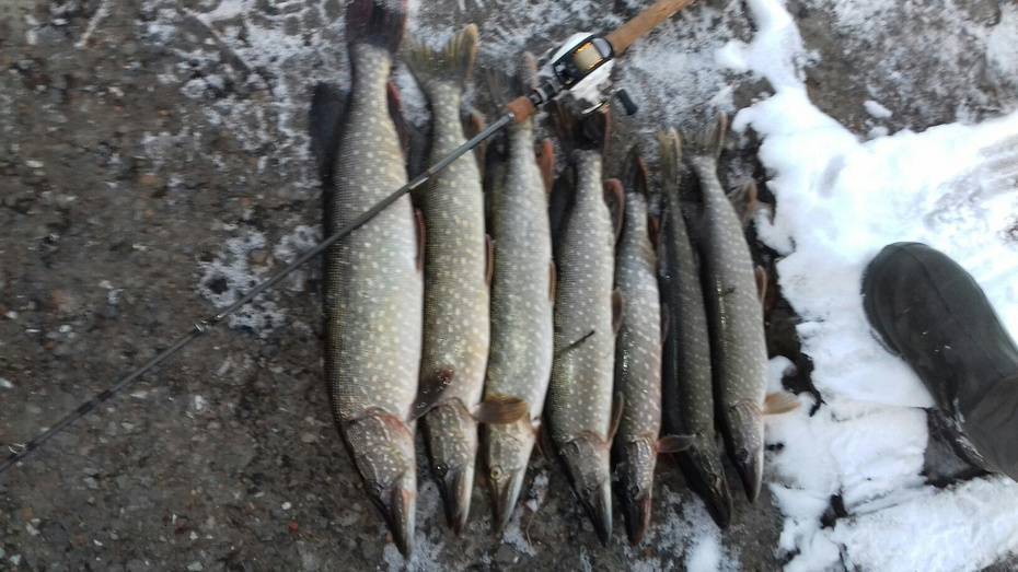 Рыбалка на реках кировской области и в кирове: обзор водоемов