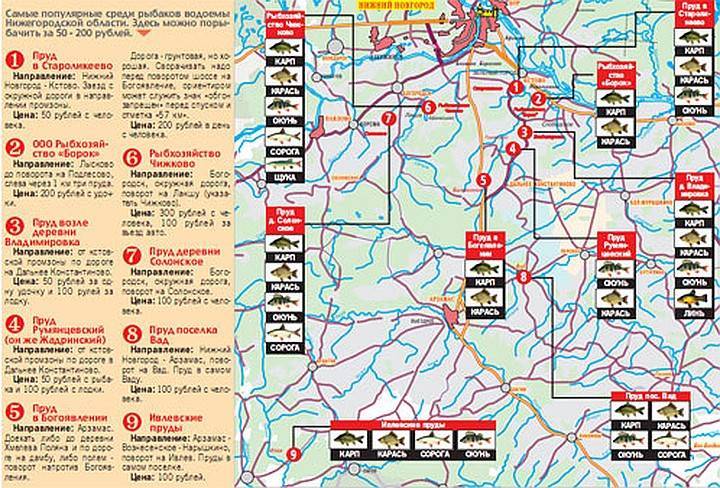 Платная рыбалка в нижегородской области: места клёва и большого улова