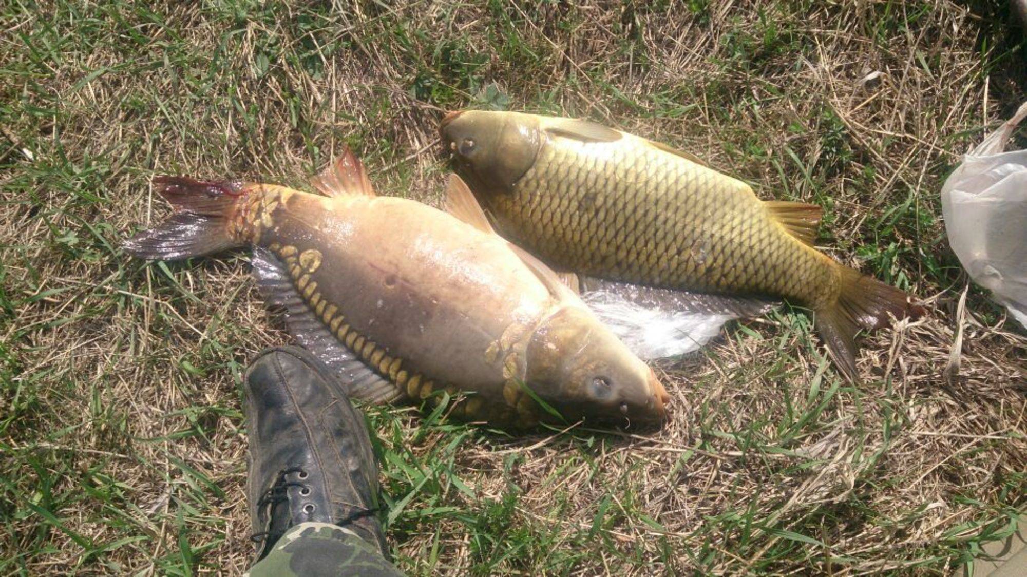 Рыбалка в нижегородской области: лучшие места на карте топ-7
