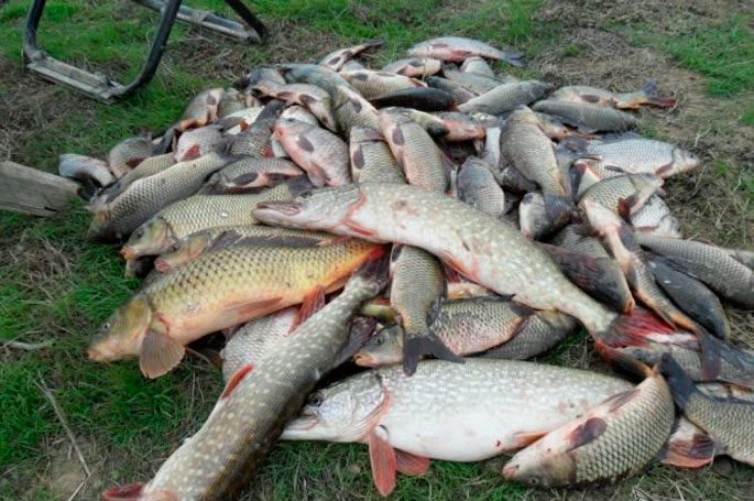 Рыбалка в Нижегородской области