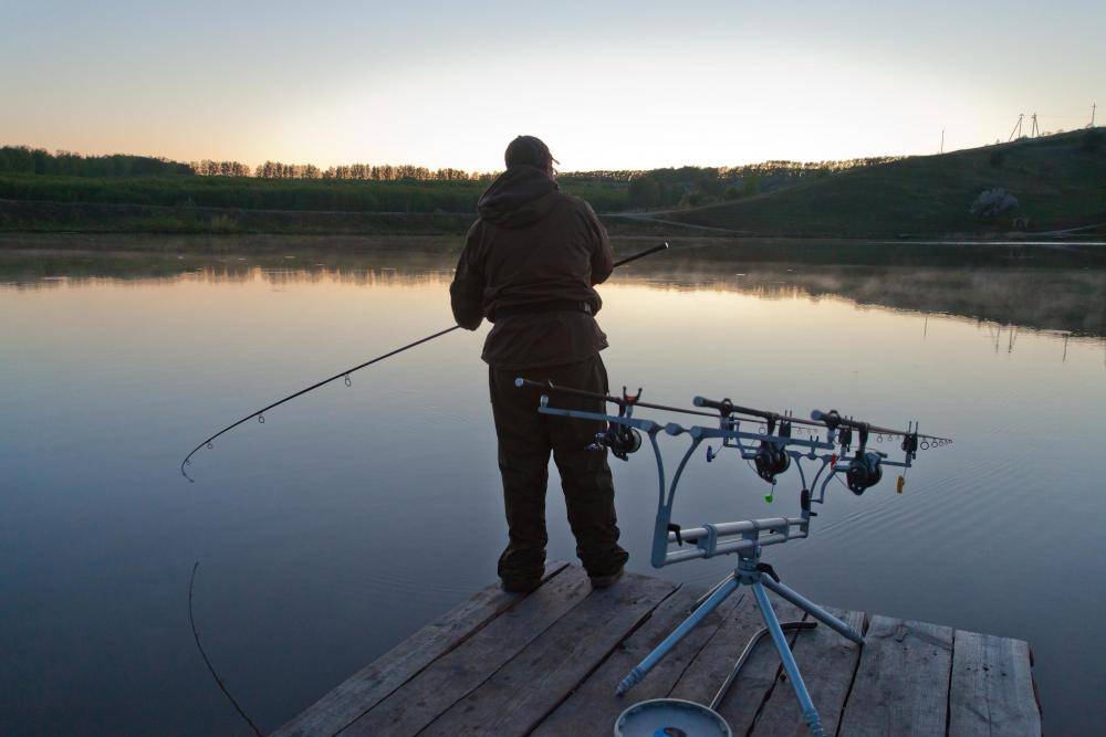 Рыбалка в нижегородской области 2020 | платная рыбалка, запрет