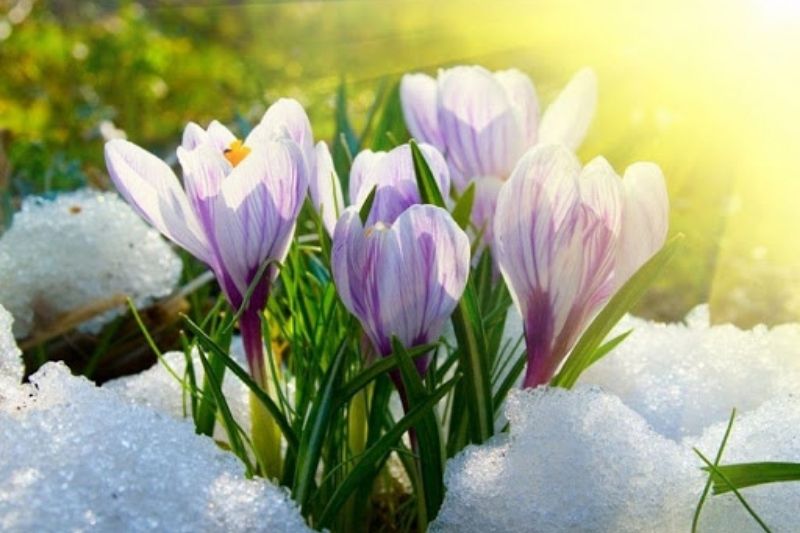 Самые точные народные приметы на сегодня о погоде