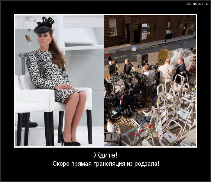 Ждите! Скоро прямая трансляция из родзала! #демотиватор