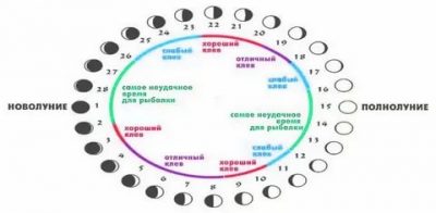 Влияние фазы луны на клев щуки