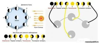 Влияние фазы луны на клев щуки