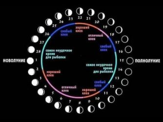 Влияние фазы луны на клев щуки