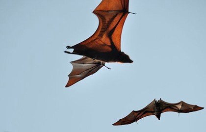 приметы хорошей и плохой погоды