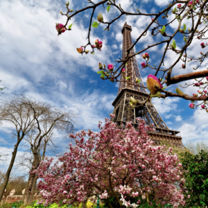 приметы хорошей и плохой погоды