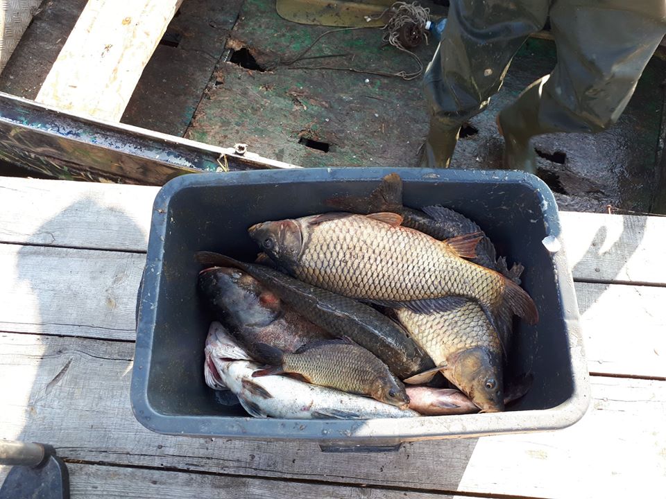 Зимняя рыбалка на карася под Киевом на озере &laquo;Глория Фишинг&raquo;