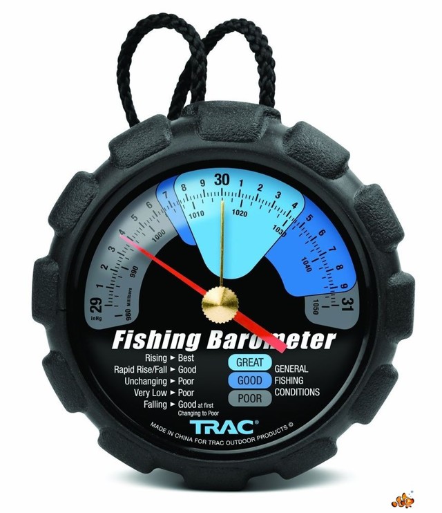 Атмосферное давление для рыбалки: влияние изменений погоды на клев