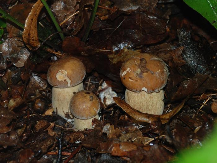 Белое озеро Ульяновская область отдых