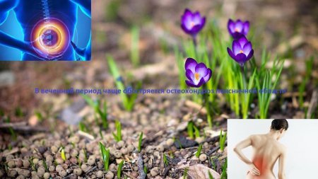 Борьба с обострениями остеохондроза при переменах погоды