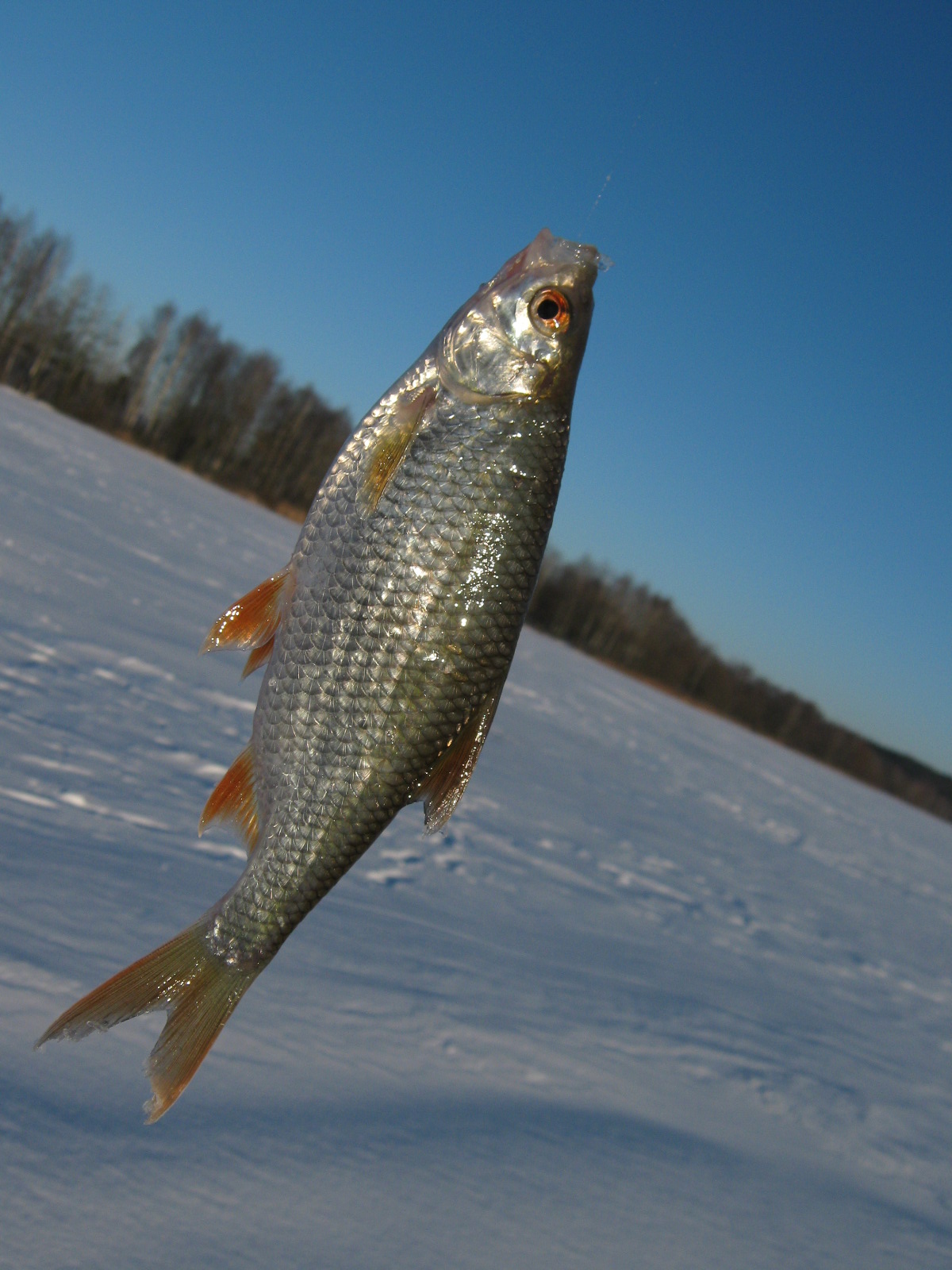 В солнечную погоду