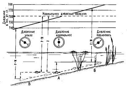 давление для зимней рыбалки