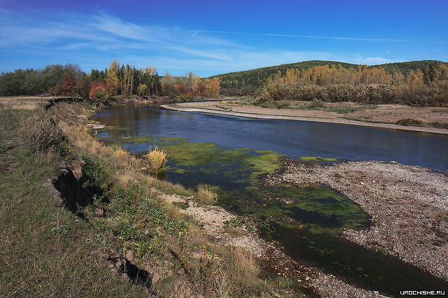 донка осенью