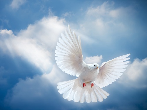 Духов день в 2019 году: обычаи и приметы